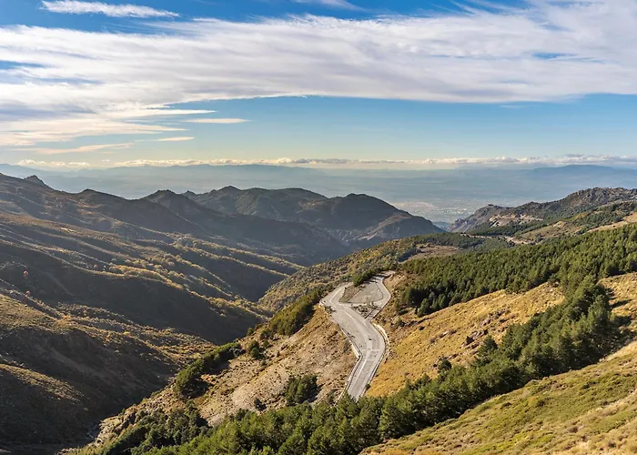 Diseño A Pie De Pista *